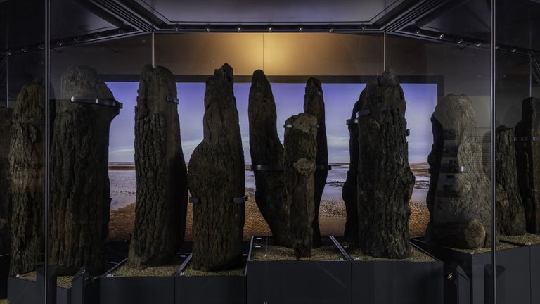 Poteaux en bois Seahenge exposés au Lynn Museum de King's Lynn.  Photo : Norfolk Museums Service/Le Strange Estate