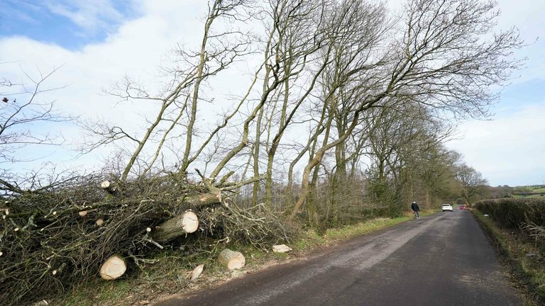 Fallen trees are seen on a road in Little Hay, north Birmingham, as Storm Dudley hits many areas across the UK. Storm Dudley is to be closely followed by Storm Eunice, which will bring strong winds and the possibility of snow on Friday. Picture date: Wednesday February 16, 2022.
