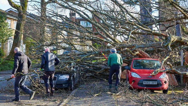 People work to clear up damage after a tree fell on cars in Godalming, Surrey. Pic: AP