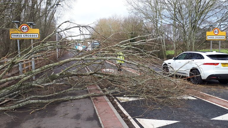 Handout image from the Twitter feed of @RossonWyeCops of a small tree blown into the road at Three Crosses in Ross-on-Wye during Storm Dudley. The storm will hit the north of England/southern Scotland from Wednesday night into Thursday morning, closely followed by Storm Eunice, which will bring strong winds and the possibility of snow on Friday. Picture date: Wednesday February 16, 2022.
