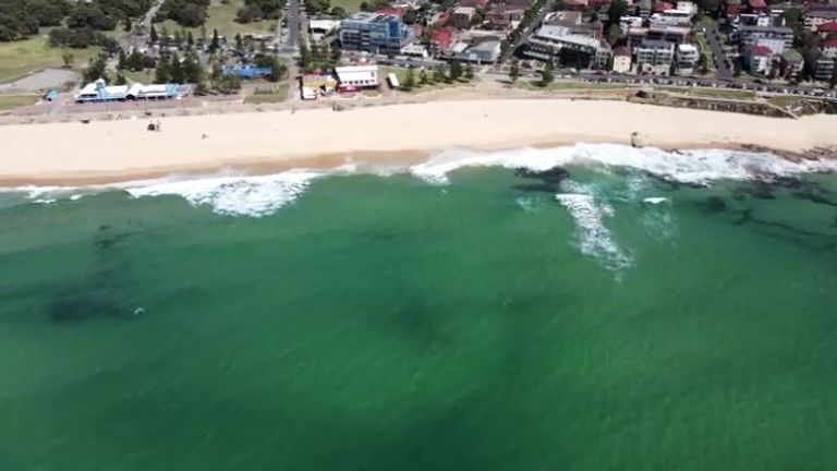 Sydney beaches close after first fatal shark attack in 60 years