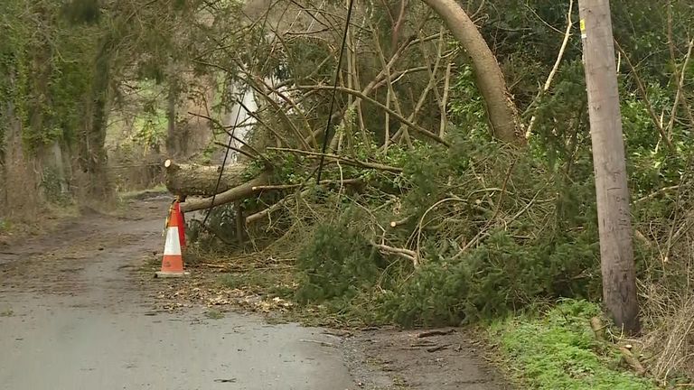 Kent: Tree falls on phone line after severe weather 