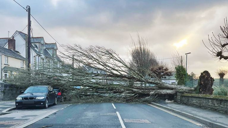 TWITTER PICTURE FROM - Wadebridge Community Fire Station
CREDIT:
@WadebridgeCFRS
Tree down on #EgloshayleRoad, #Wadebridge. Please find an alternative route.

Don’t travel unless absolutely necessary