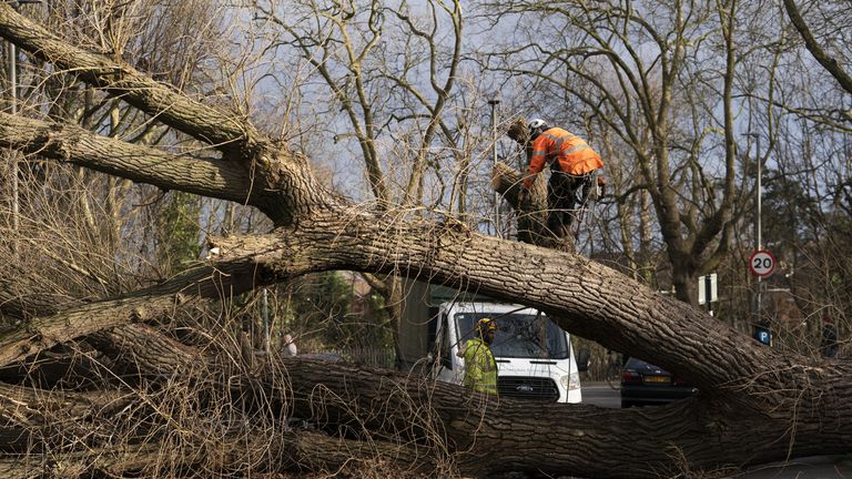 Fresh yellow weather warnings for strong winds may affect clean-up efforts in parts of the UK, forecasters say