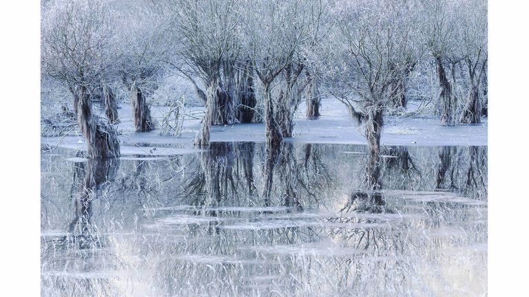 EMBARGOED TO 0001 WEDNESDAY FEBRUARY
MANDATORY CREDIT: Cristiano Vendramin/Wildlife Photographer of the Year
"Lake of ice" by Cristiano Vendramin, which has won the Wildlife Photographer of the Year People&#39;s Choice Award.