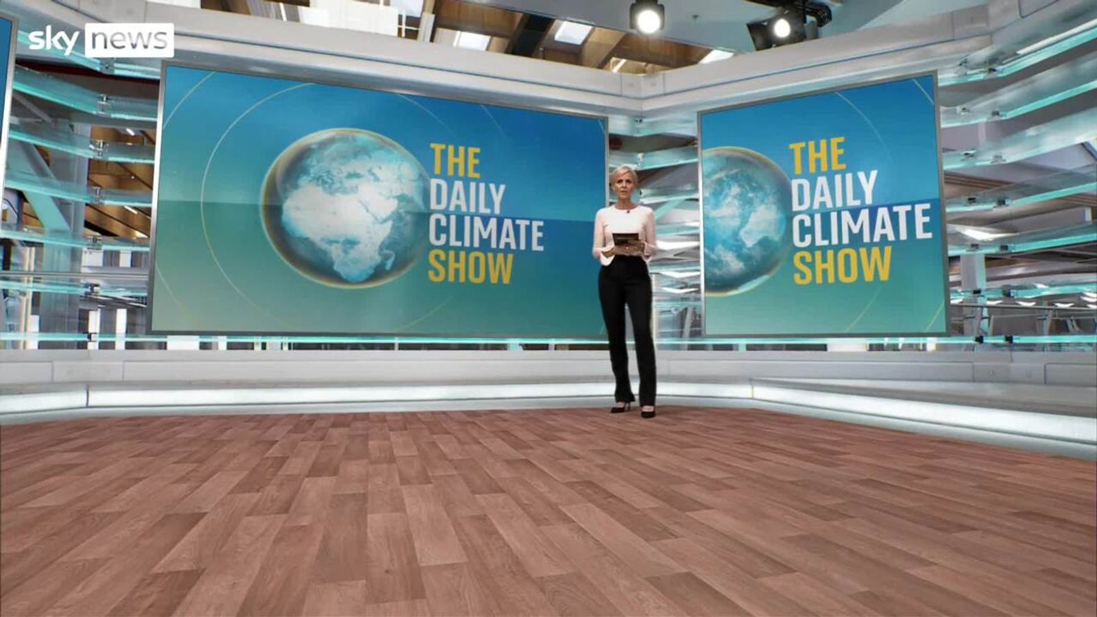 The Daily Climate Show Can renewables replace UK gas demand? Climate