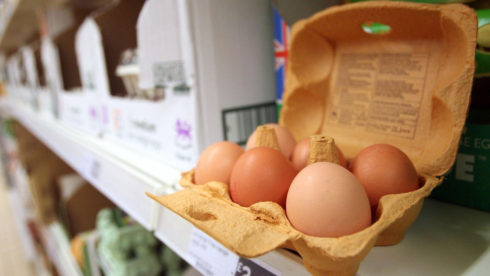 Les œufs de poules élevées en liberté disparaissent des rayons des supermarchés alors que les poulets ferment leurs portes après la plus grande épidémie de grippe aviaire au Royaume-Uni |  Nouvelles du Royaume-Uni