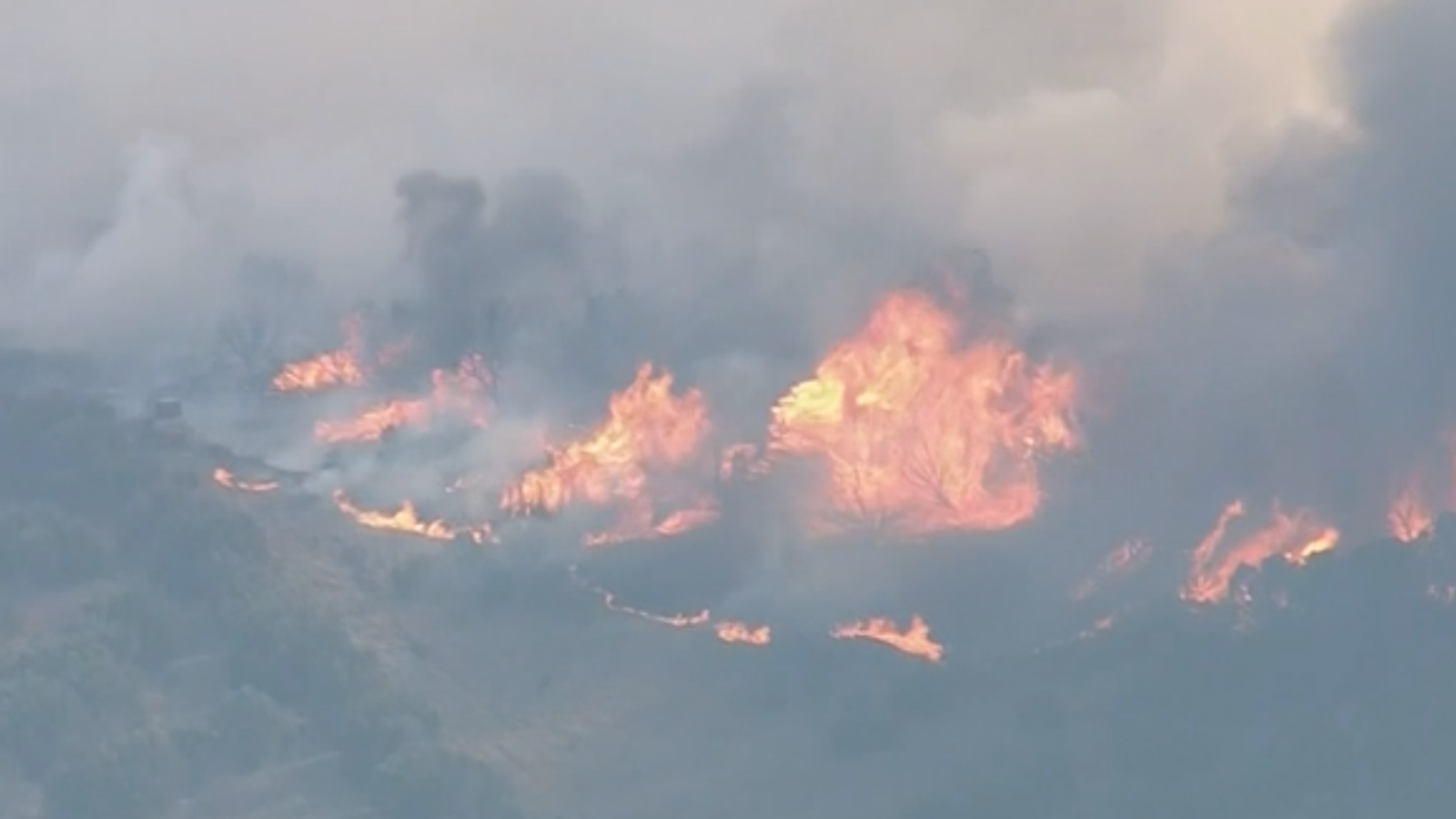 Texas Raging wildfires kill deputy sheriff and destroy dozens of homes