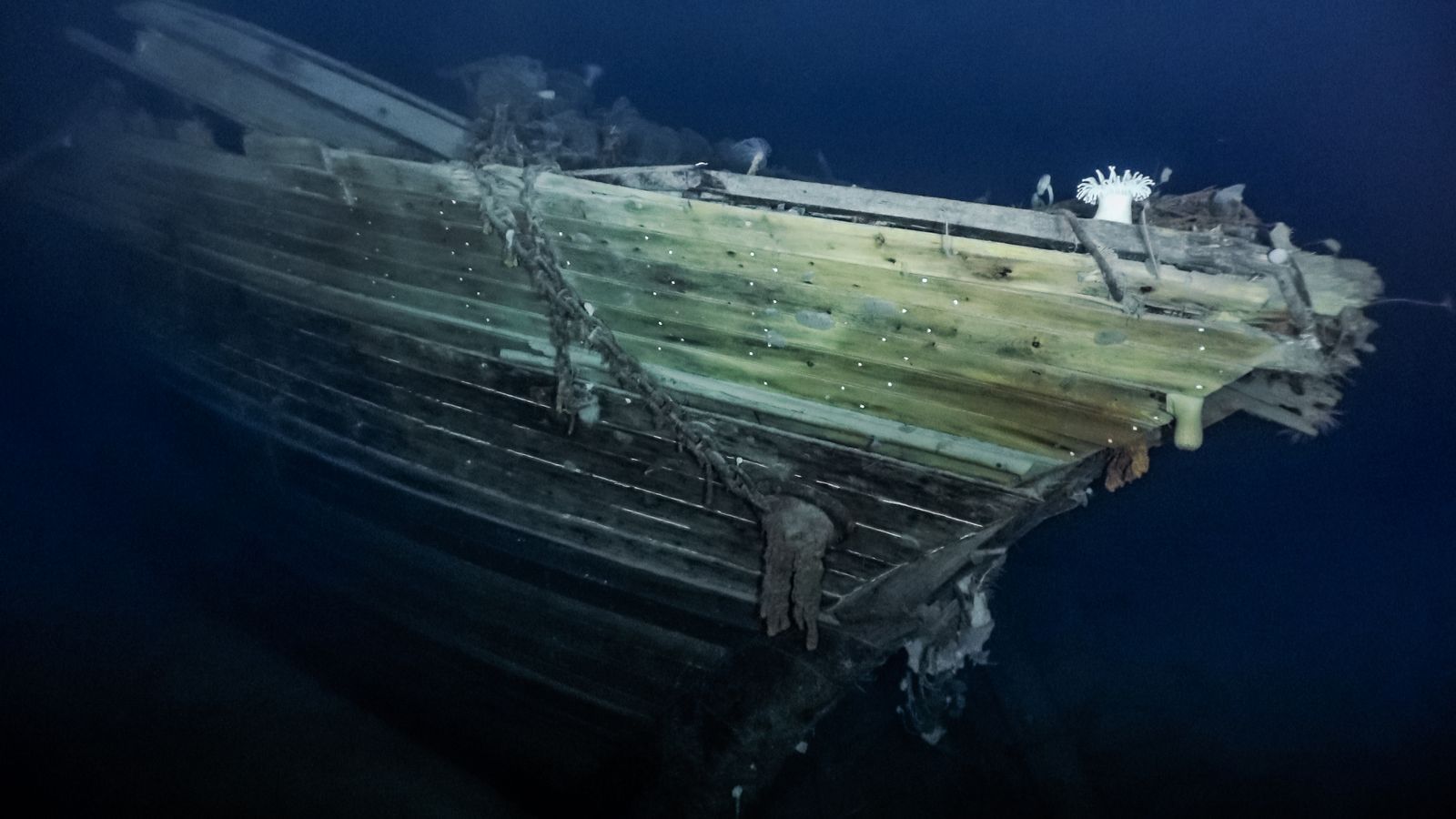 Shackleton's lost ship Endurance found off Antarctica new images