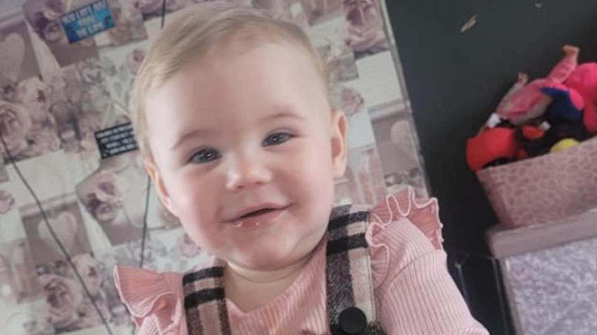 Worcestershire Boy, two, dies in hospital after being bitten by dog