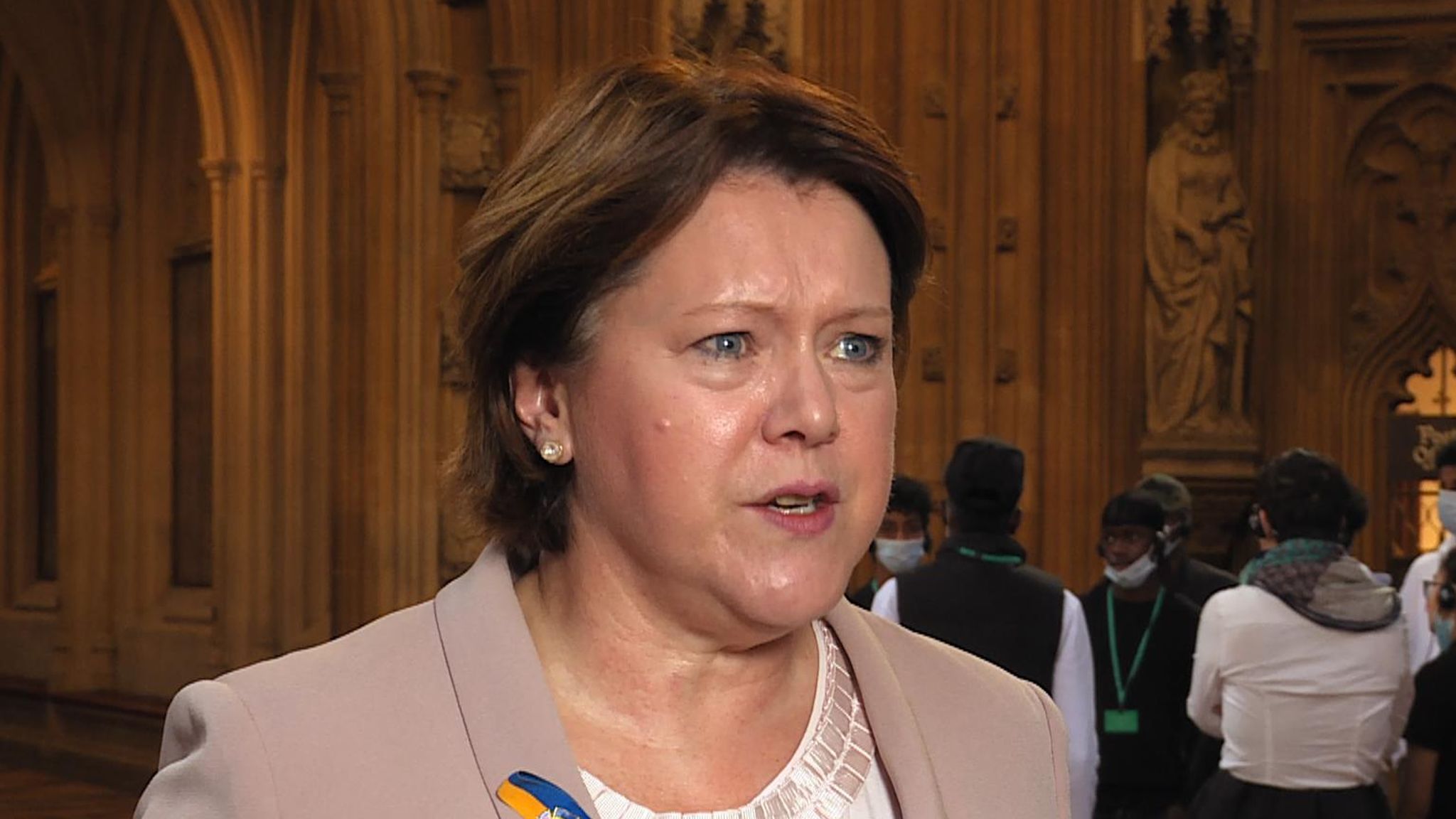 Conservative MP and former cabinet minister, Maria Miller, is authoring new legislation calling for stronger job protections for new mothers and pregnant women