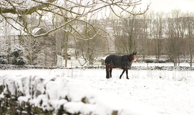 UK weather: Snow falls as far south as London after Met Office issued yellow warning for icy conditions - Vimarsana News