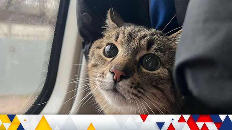 Stepan the cat. The Ukrainian cat that went viral on social media has escaped to France with his owner and raised over £7,000 for charity in the process. The owner of the cat, whose Instagram account Loveyoustepan has 1.2 million followers, documented their journey after they were forced to flee from their home in Kharkiv, north-east Ukraine, when Russia began shelling the city last month. Issue date: Wednesday March 30, 2022.