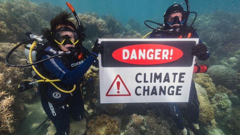 Climate change has been blamed for the damage being done. Pic: Greenpeace
