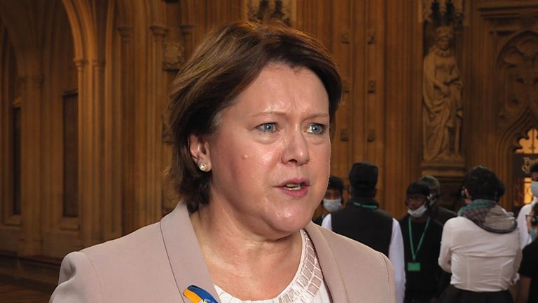 Conservative MP and former cabinet minister, Maria Miller, is authoring new legislation calling for stronger job protections for new mothers and pregnant women