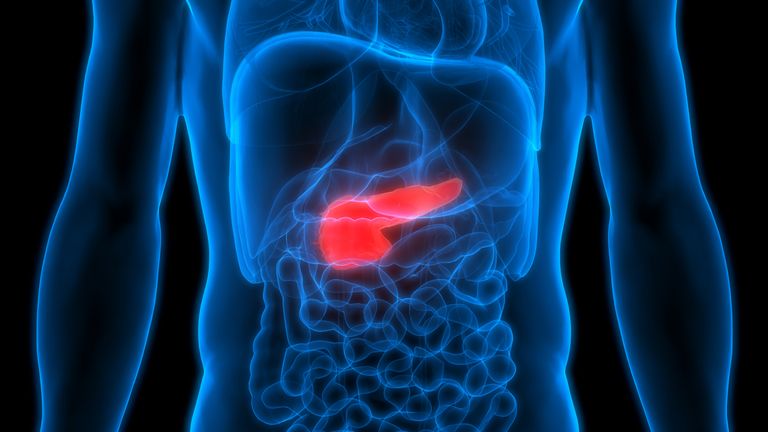 A 3D illustration showing the pancreas. Pic: iStock