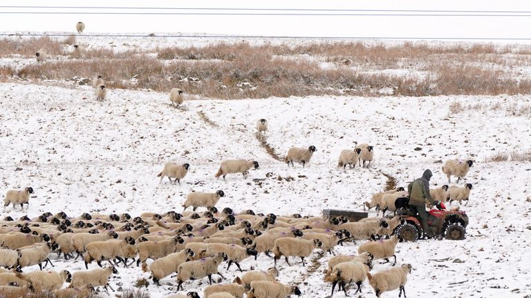 Thermometers are set to fall below freezing overnight as the cold front pushes down from the North