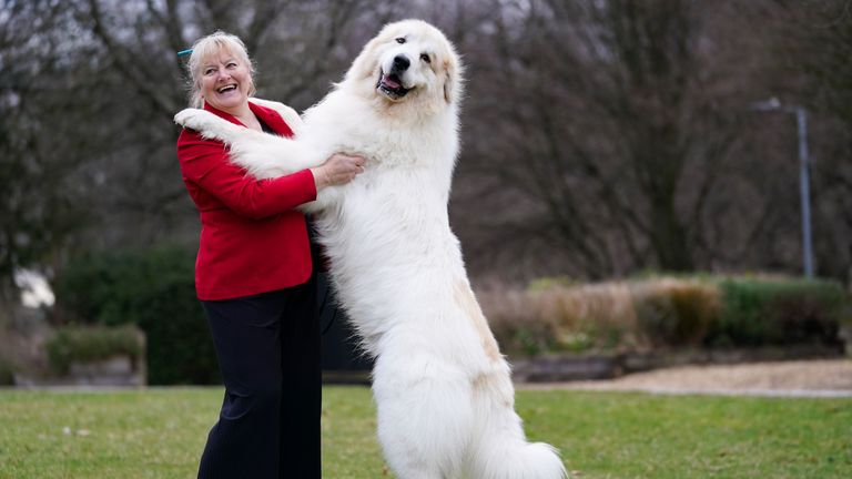 Susan Reilly and her Pyrenean Mountain Dog called Boris during the first day of the Crufts Dog Show at the Birmingham National Exhibition Centre (NEC). Picture date: Thursday March 10, 2022.
