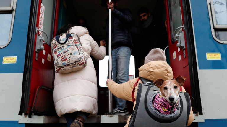 A person fleeing Russia&#39;s invasion of Ukraine carries a dog in a backpack while boarding a train to Budapest departing from Zahony, Hungary March 3, 2022. REUTERS/Bernadett Szabo
