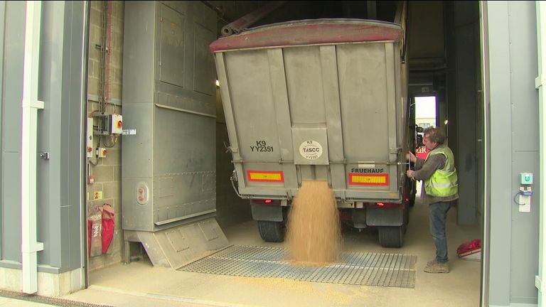 A lorry spilling out wheat