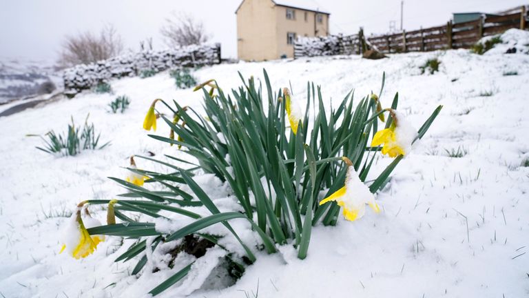 The Met Office says the snow and hail showers could lead to icy surfaces and possible disruptions to travel

