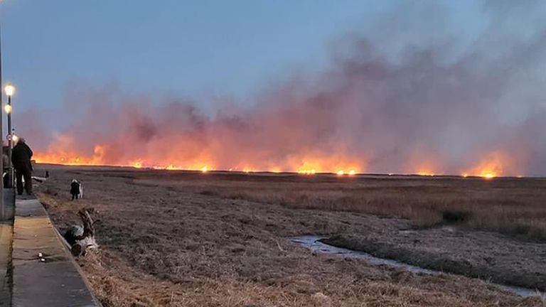 Six engines were deployed with firefighters initially battling two areas with beaters and hoses. Pic: @andiparry