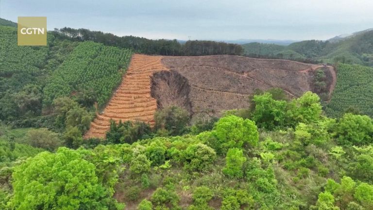 An aerial view shows scorched land at the site where a China Eastern Airlines Boeing 737-800 plane, flight MU5735, crashed in Wuzhou, Guangxi Zhuang Autonomous Region, China, in this still image taken from a drone footage March 23, 2022. CGTN via REUTERS TV ATTENTION EDITORS - THIS IMAGE WAS PROVIDED BY A THIRD PARTY. NO RESALES. NO ARCHIVES. CHINA OUT.
