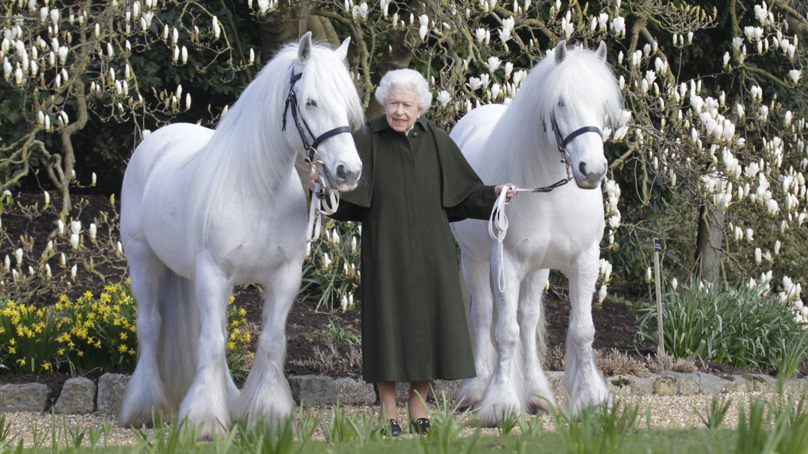 Королева отмечает свое 96-летие выпуском новой фотографии по этому случаю |  новости Великобритании