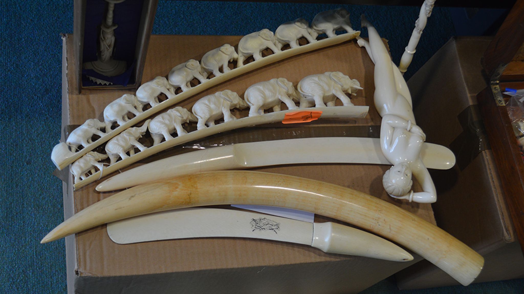 More than £60,000 seized from man who traded in illegal ivory UK News