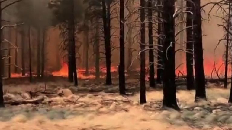 A wildfire northeast of Flagstaff, Arizona Pic: @mr_t_mtb