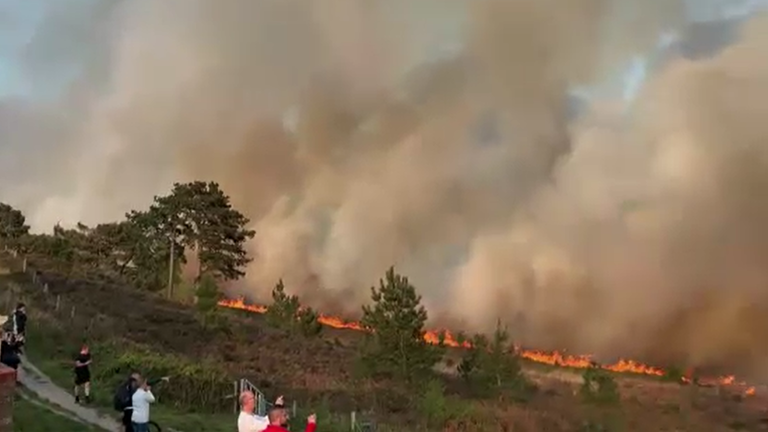 A large blaze, driven by strong winds, at a Dorset heathland is now under control, firefighters have said