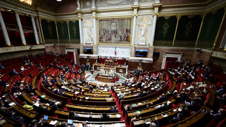 There are 577 MPs or deputes in France&#39;s National Assembly. File pic