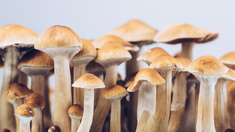 Scientists say psilocybin could help depressed people be less fixed in negative thinking patterns. Pic: iStock
