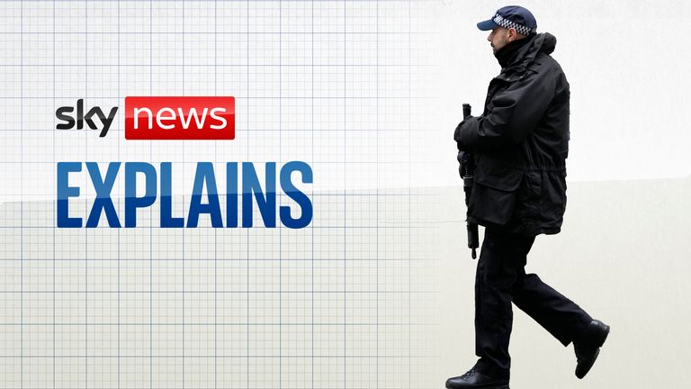 Sky News Explains: How safe are UK MPs?