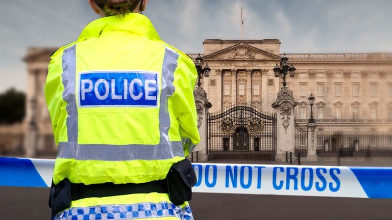 The Met Police has released details of crimes recorded at royal estates