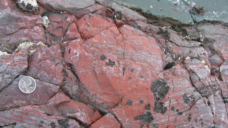 This bright red rock, beneath dark green volcanic rock, contains tubular and filamentous microfossils. Pic: D Papineau/UCL
