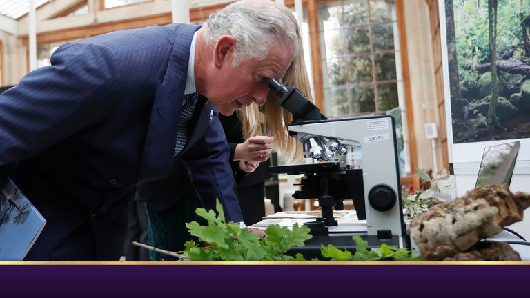 The Prince of Wales uses a microscope to view slides showing different wood densities during a visit to the Royal Botanic Gardens, at Kew, Richmond, Surrey.