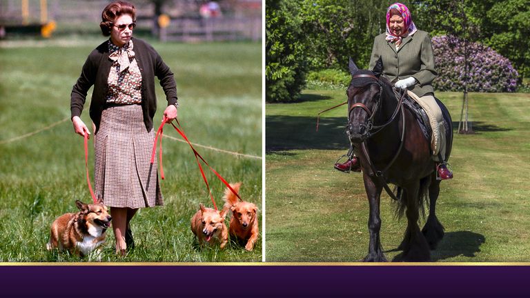 A lifelong love of corgis and horses – the Queen and her animals