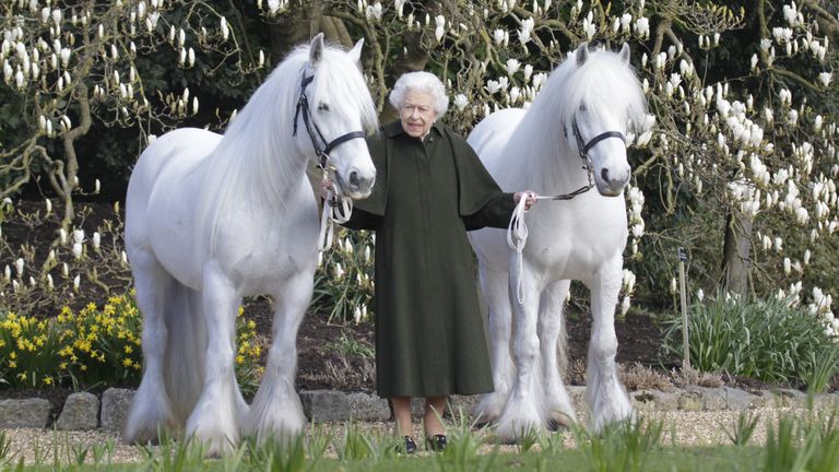 An image released by the Royal Windsor Horse Show to mark the Queen&#39;s 96th Birthday. Pic: henrydallalphotography.com