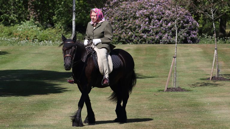  31-May-2020
PA File Photo of the Queen riding Balmoral Fern, a 14-year-old Fell Pony, in Windsor Home Park
