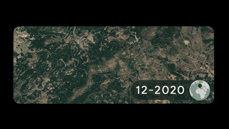 Time-lapse images show forest loss in Germany. Forests destroyed by bark beetle infestation due to rising temperatures and severe drought. Pic: Google