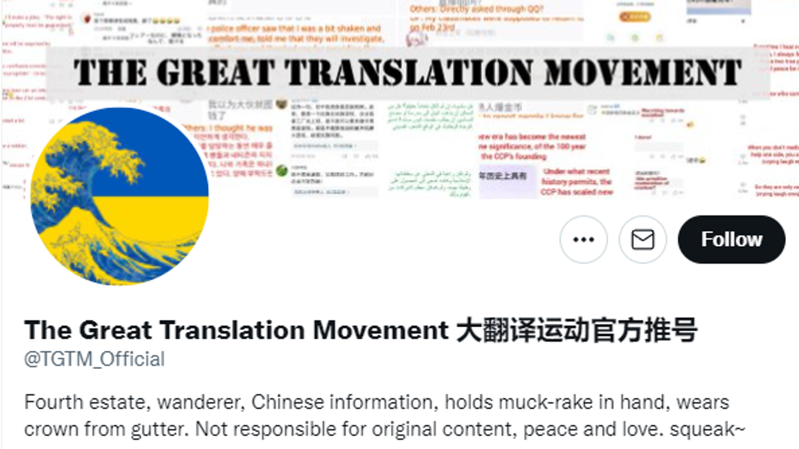 The Great Translation Movement: ‘Despicable’ group accused of smearing China’s image insists its exposing online ‘echo chamber’