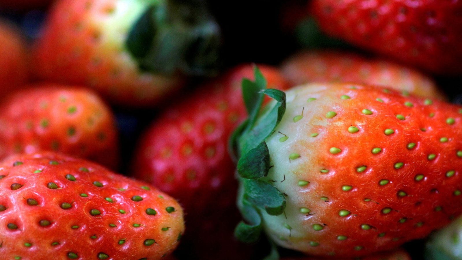 Les fraises peuvent être liées à une épidémie d’hépatite aux États-Unis et au Canada |  Nouvelles du monde