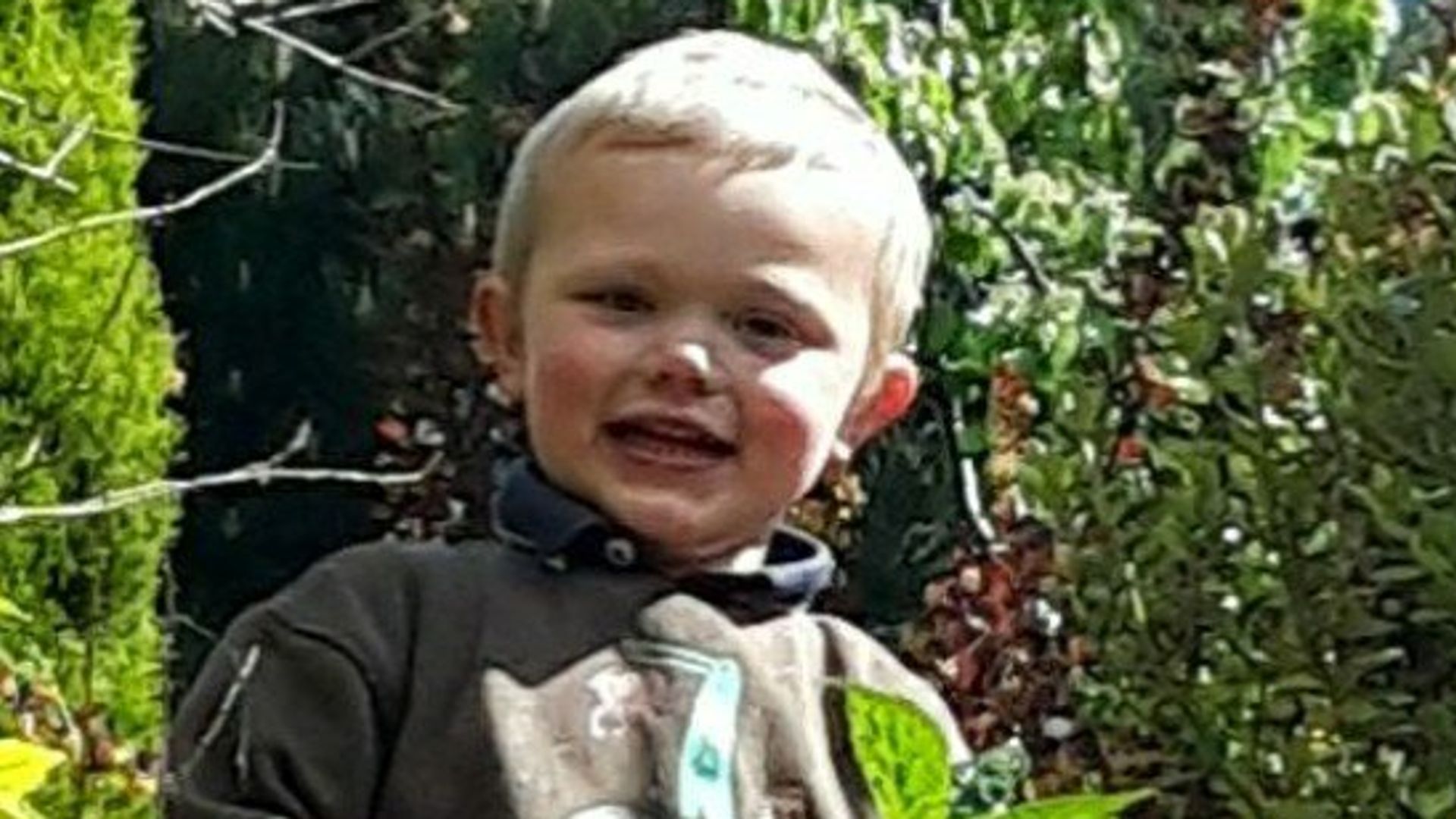 Two people charged over three-year-old's death after dog attack 