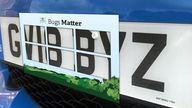 photo issued by Buglife of &#39;splatometer&#39; used in the survey on a number plate. A citizen science project asking people to count squashed bugs on their car number plates suggests flying insects have declined nearly 60% in less than 20 years. The "windscreen phenomenon" is anecdotal evidence from drivers that they collect fewer moths, flies, aphids, bees and flying beetles on their windscreens than they did in the past. Issue date: Thursday May 5, 2022.