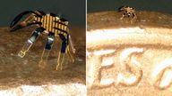 The tiny robot is small enough to stand on the edge of a coin. Pic: John Rogers / Northwestern University