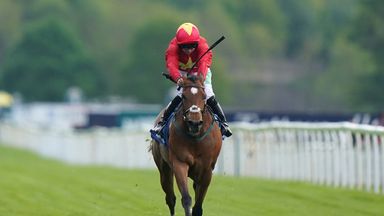 Breeders' Cup dream alive for Highfield Princess