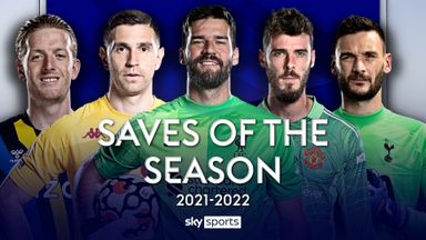 Premier League Saves of the Season