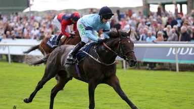 Johnston leaning towards Derby date for Royal Patronage