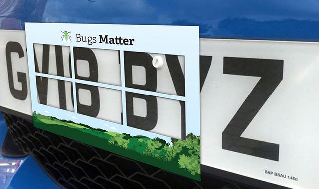 Car number plate 'splatometer' survey shows 'terrifying decline' in number of flying insects - Vimarsana News